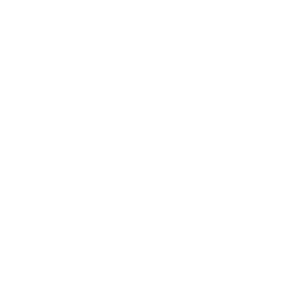 Pin up secret logo